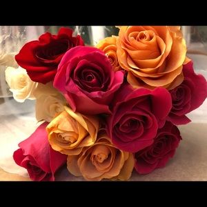 Meet your Posher, Princess